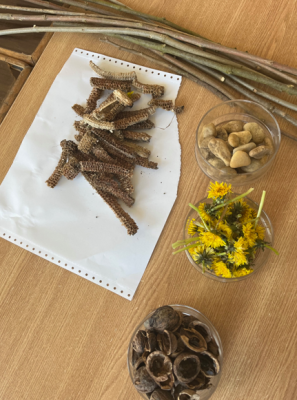 Code Week Junior Kupa  - Anyag gyűjtés